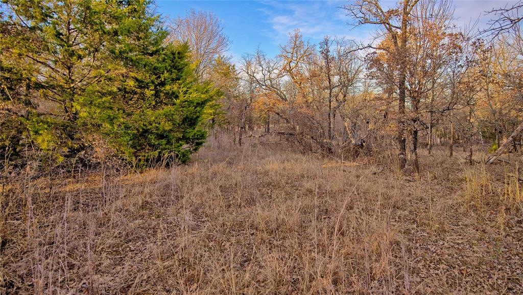 Silver Lakes Ranch - Land