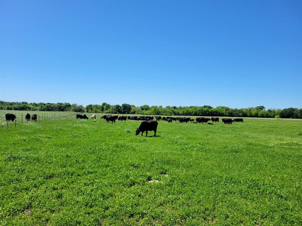 A0680 MCMAHAN JOHN R, TRACT 6-3, ACRES 25.71 - Land