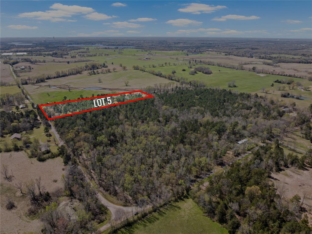 Timberline - Land
