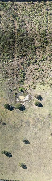 Saddle Creek Ranch - Land