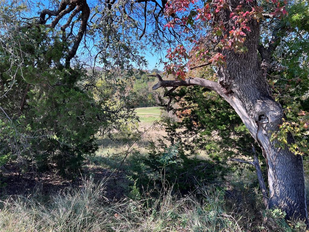 White Bluff #42 - Land