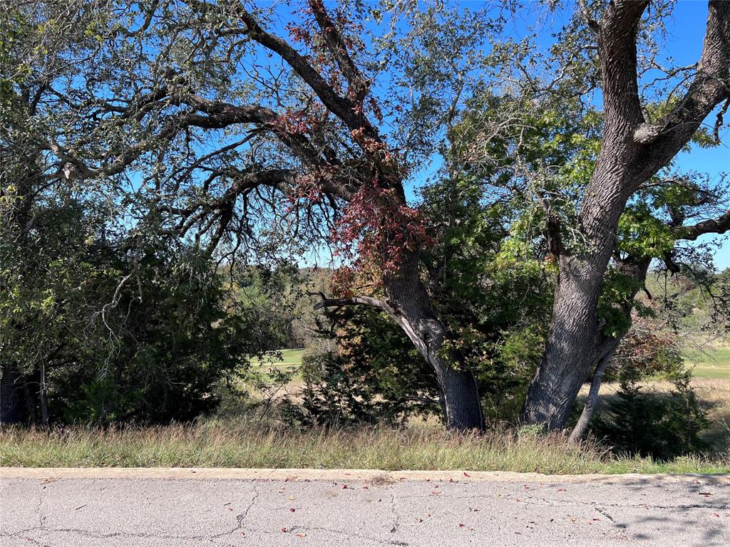 White Bluff #42 - Land