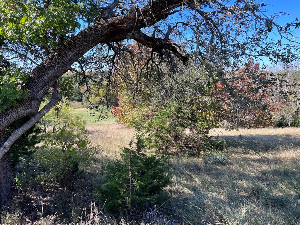 White Bluff #42 - Land