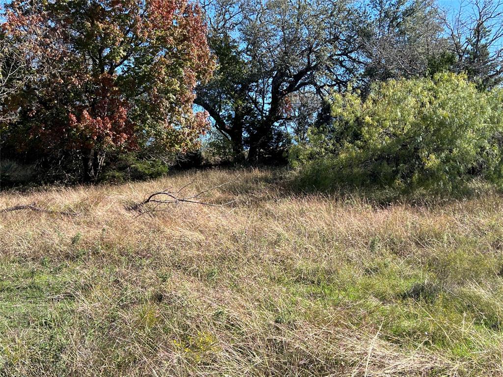 White Bluff #42 - Land