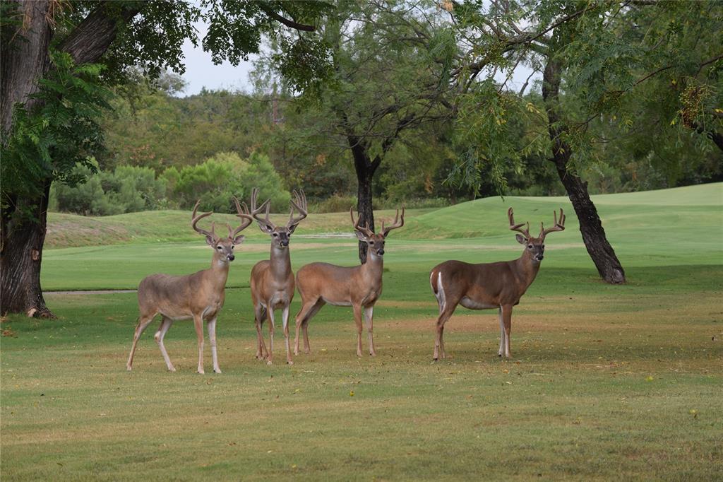 White Bluff #42 - Land