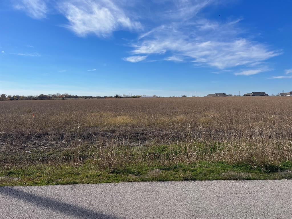Rutherford Springs Phase II - Land