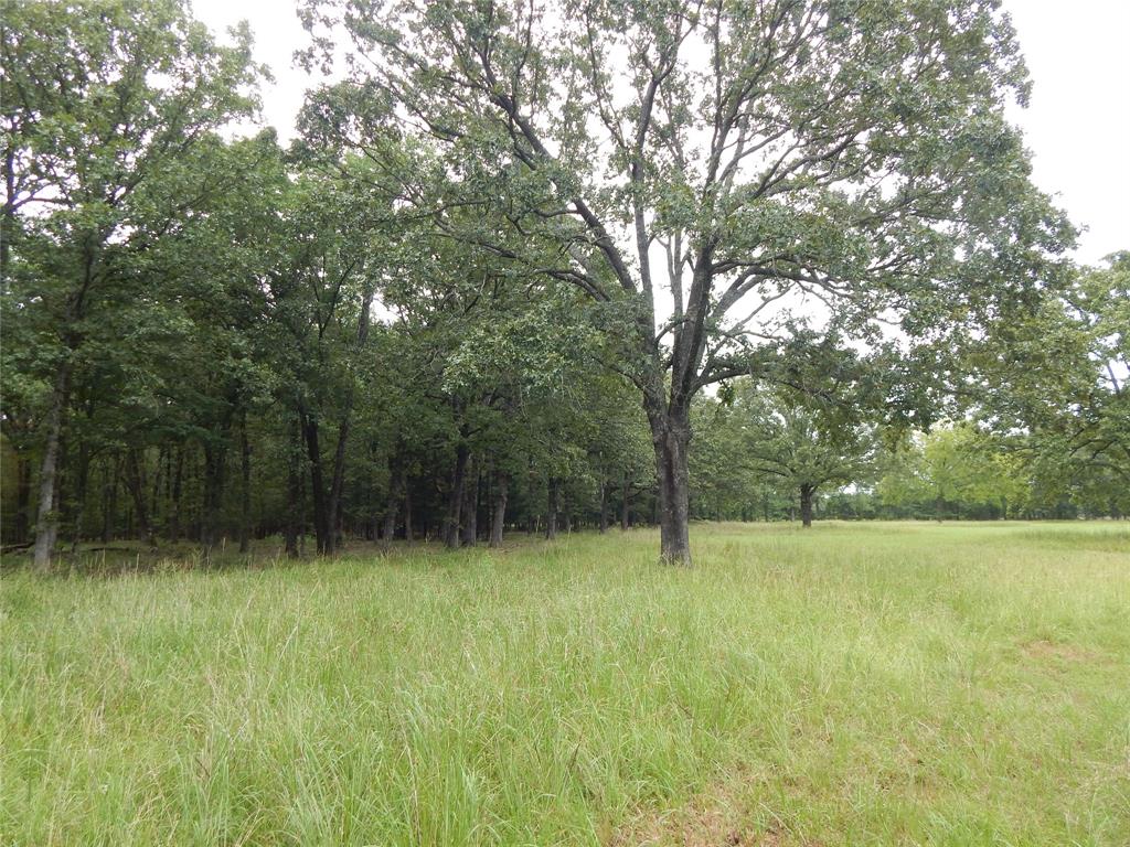 Beautiful off grid property.  Bring your house plans, kids and critters to the country.  This lovely place has quite a bit of lush pasture on the South side of the property and loads of trees to the North.  If you enjoy wildlife there are deer, turkey, coyotes, bobcats and more that frequent it.  The property is split by the North Texas Trail with a nice open path along the back fence line for great access to ride your mountain bike, horses, go jogging or just want to walk in the fresh air.  The pictures do not do this lovely place justice as it is truly serene, private and stunning.  Come on out and see for yourself!