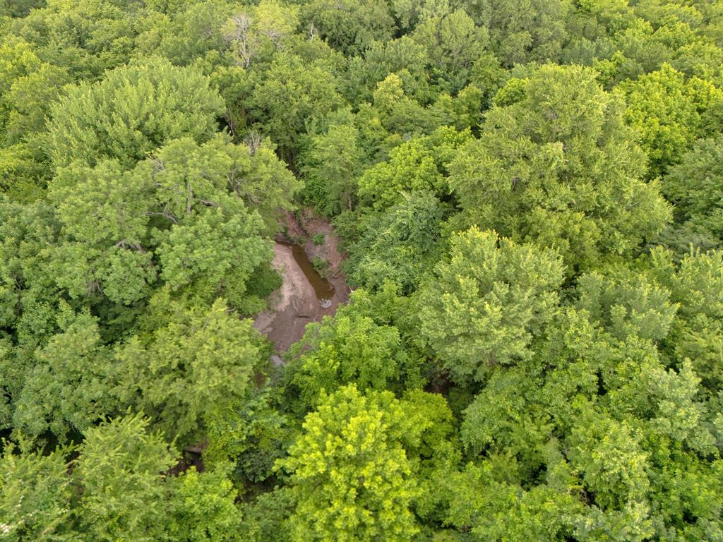 0164 A HODGES TRACT 1-9 ACRES 87.919 - Land