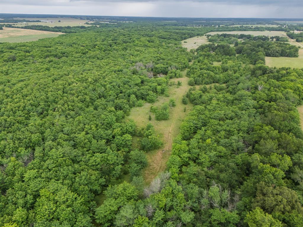 0164 A HODGES TRACT 1-9 ACRES 87.919 - Land