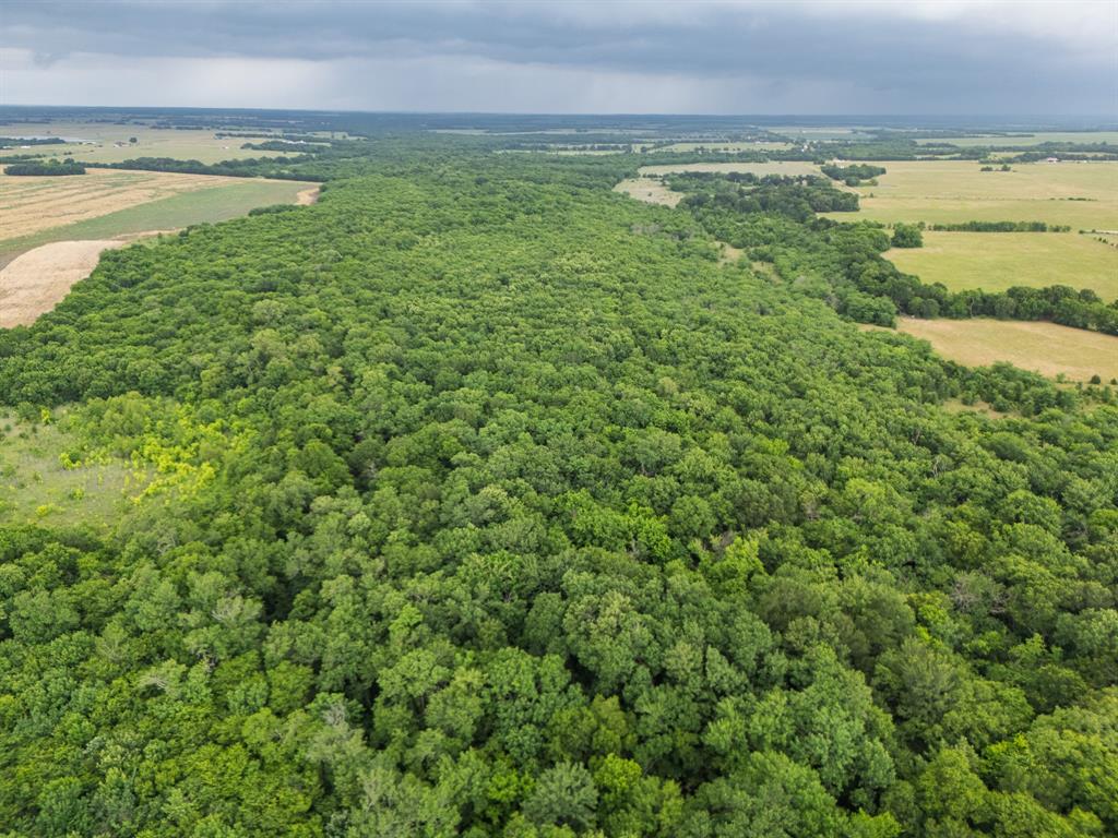 0164 A HODGES TRACT 1-9 ACRES 87.919 - Land
