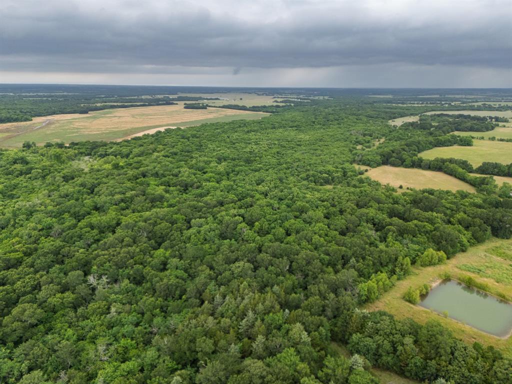 This expansive 87.92-acre tract offers a rare combination of size, privacy, and versatility just minutes from Cooper, Texas. With approximately 13 acres of open prairie and the remainder dotted with mature trees, it’s well-suited for ranching, recreational use, a homestead estate, or long-term investment. A pond enhances the natural appeal, supporting both wildlife and agricultural potential. The land is level with minor terrain shifts and has a balanced layout of clearings and wooded sections. Access is from a gravel county road, with water and electric available at the frontage. A public water line was installed roughly two years ago, and a meter is available. No zoning or deed restrictions give buyers complete flexibility in use and future development plans. Tract 9’s size, location, and access make it ideal for buyers seeking working land, recreational acreage, or space to develop a large residential retreat. The area supports livestock, hunting, and outdoor recreation.
Just 10 minutes to Cooper, 15 to Commerce, and within easy reach of Greenville and McKinney, the property sits close to Jim Chapman Lake and Cooper Lake State Park offering public boat ramps, fishing, camping, and hiking trails. Majority of aerial photos show the broader multi-tract offering. Boundaries shown are approximate only.