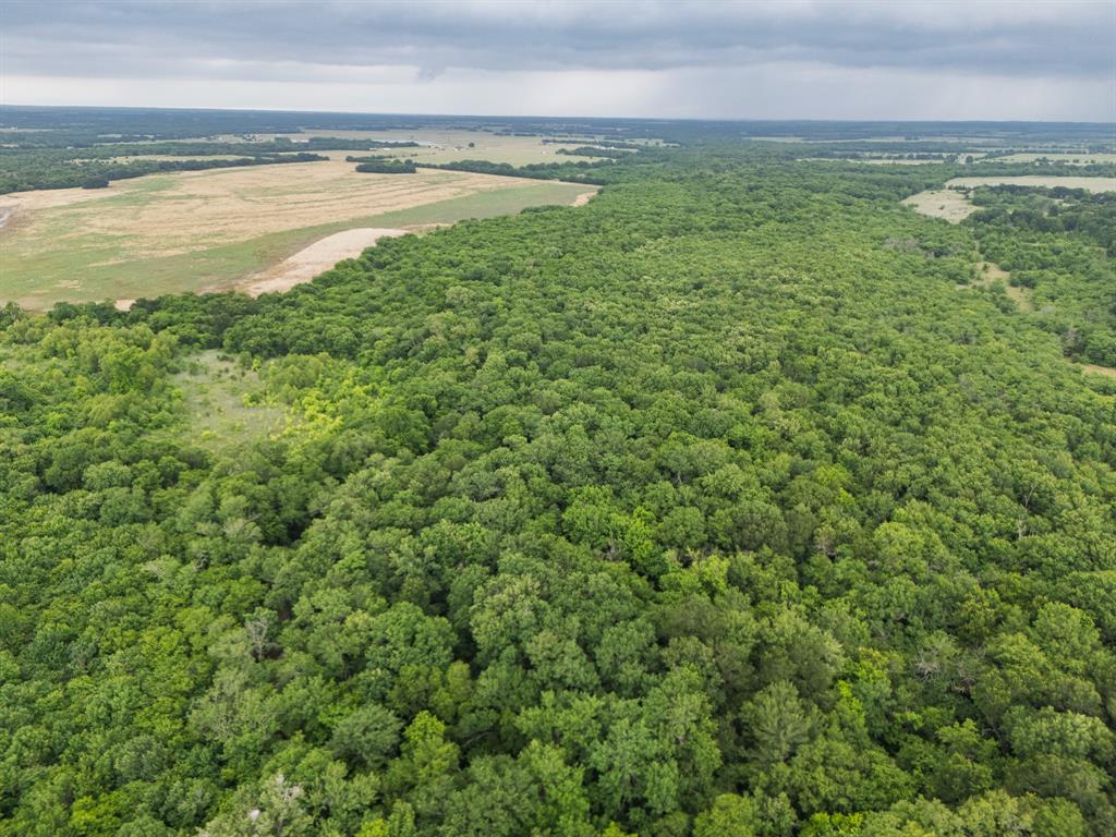 0164 A HODGES TRACT 1-9 ACRES 87.919 - Land