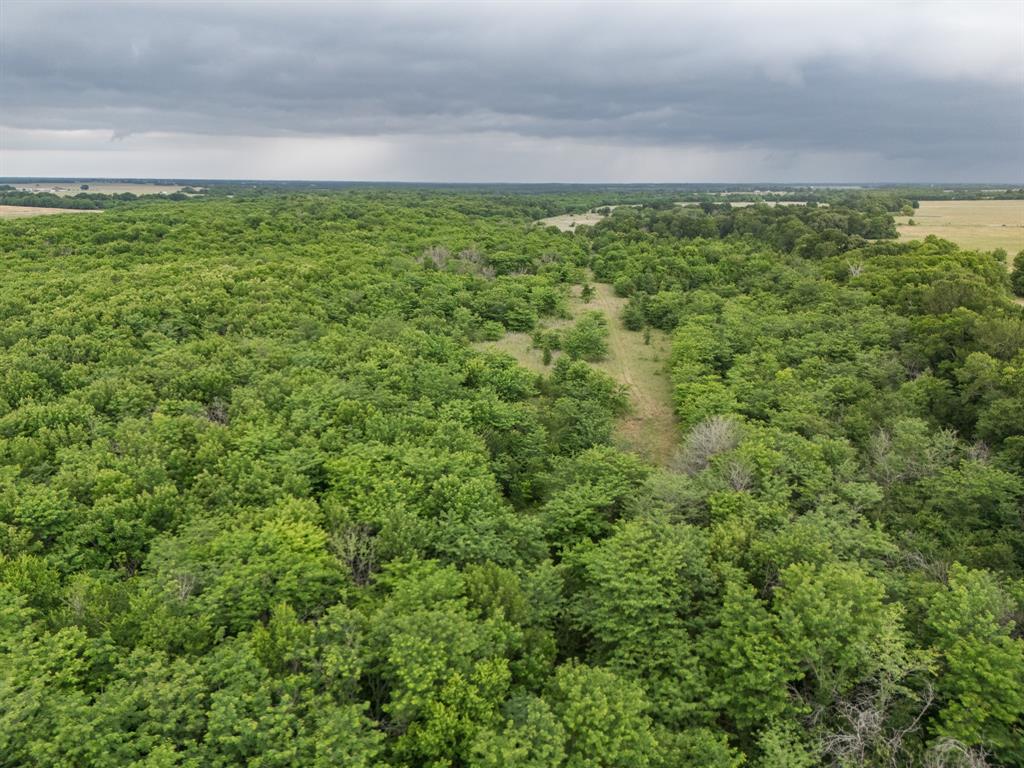0164 A HODGES TRACT 1-9 ACRES 87.919 - Land