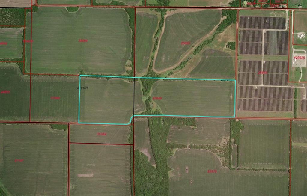 A0407 - HOPKINS WILLIAM H - Land