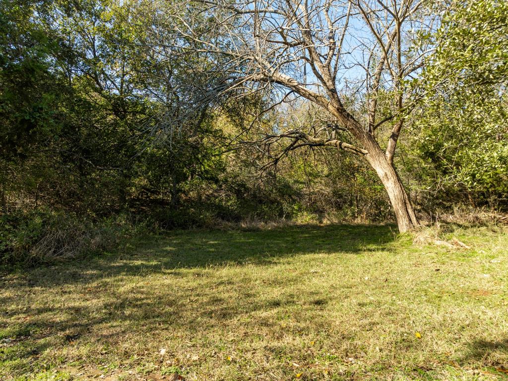 White Bluff #21 - Land