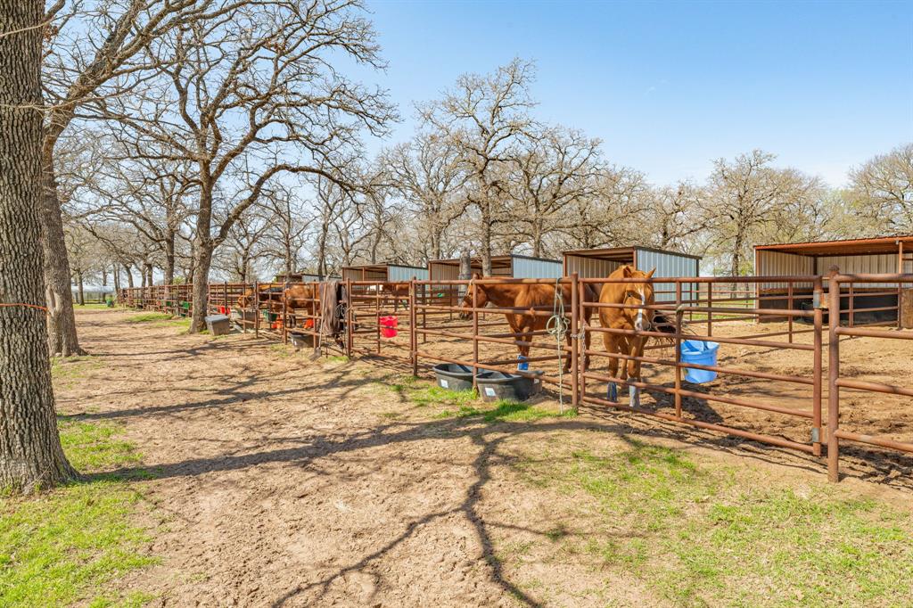 Leon County School Land Surv A - Residential