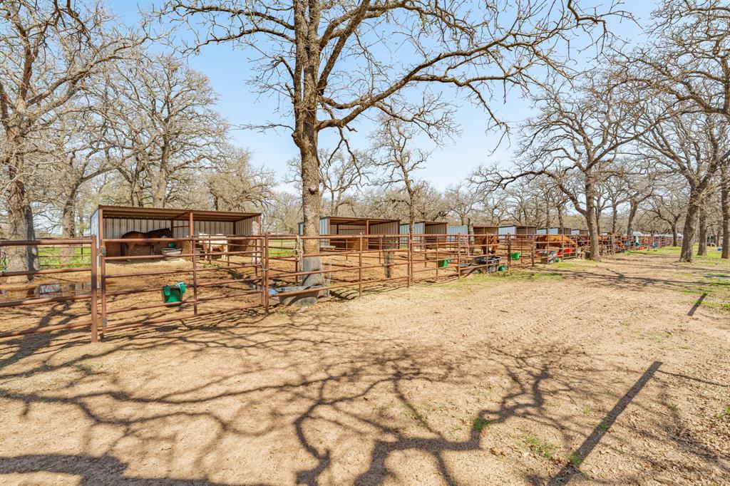 Leon County School Land Surv A - Residential