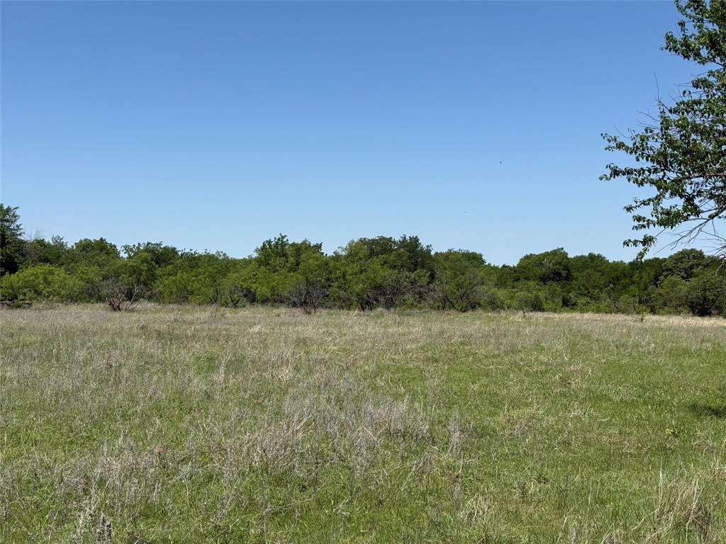 Peter Miller Survey - Land