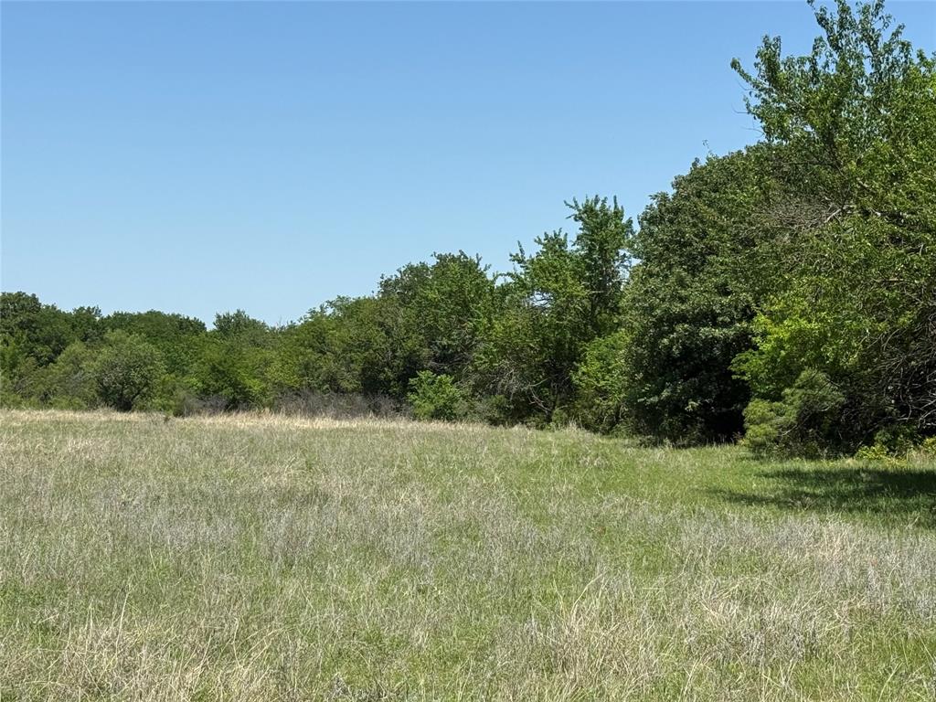 Peter Miller Survey - Land