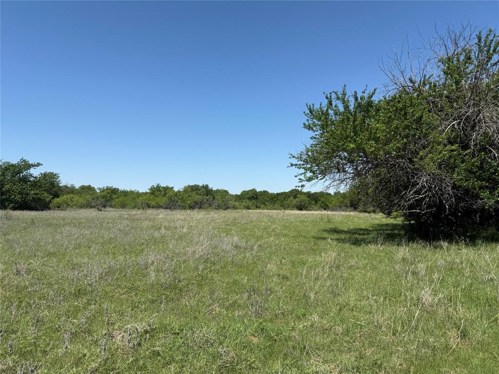 Peter Miller Survey - Land