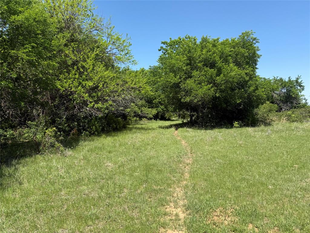 Peter Miller Survey - Land