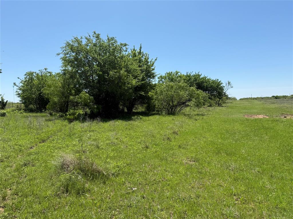Peter Miller Survey - Land
