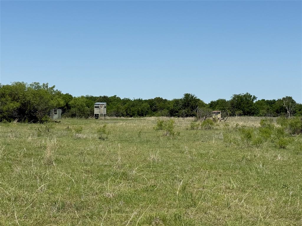 Peter Miller Survey - Land