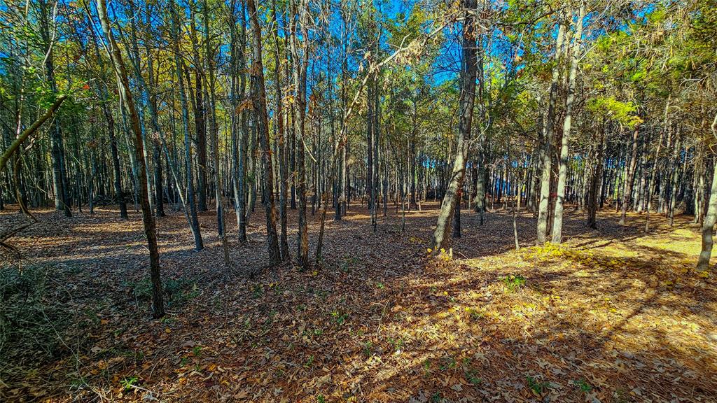 Abst: 590 E ROBERTSON, V - Land