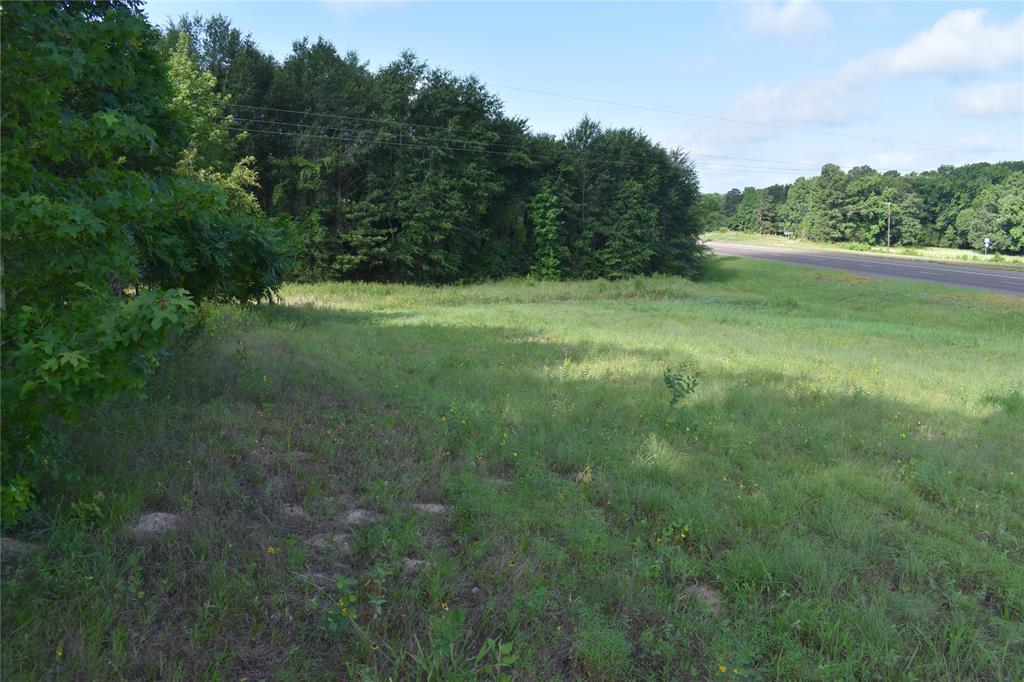 Ideal location for your future business.  State highway 155 access with high visibility.  Just out of the City of Frankston.  Access from Hwy 155, and off of An CR 3115, for ease of usage.  High traffic area. Two utility easements cross on north portion of property.  This leaves about 2.45 acres of buildable property.  Heavily wooded.  No restriction.  Water and electricity is available.  Bore will be required for water.  Easy to View.  New survey available.