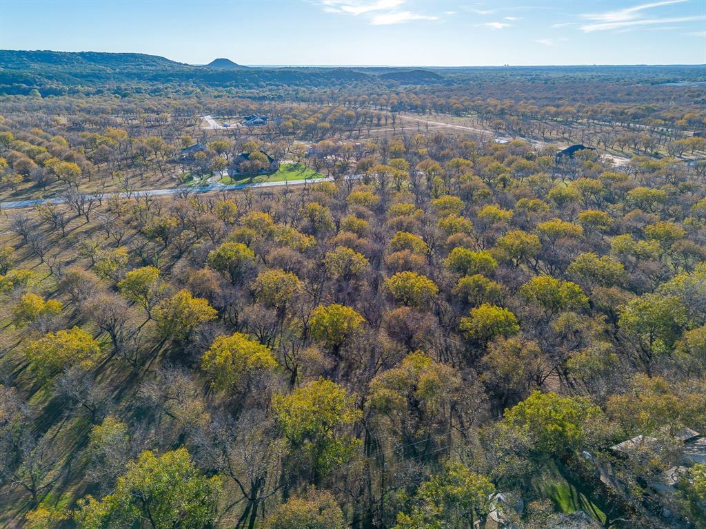 Pecan Plantation - Land