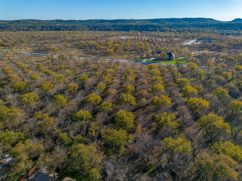 Pecan Plantation - Land