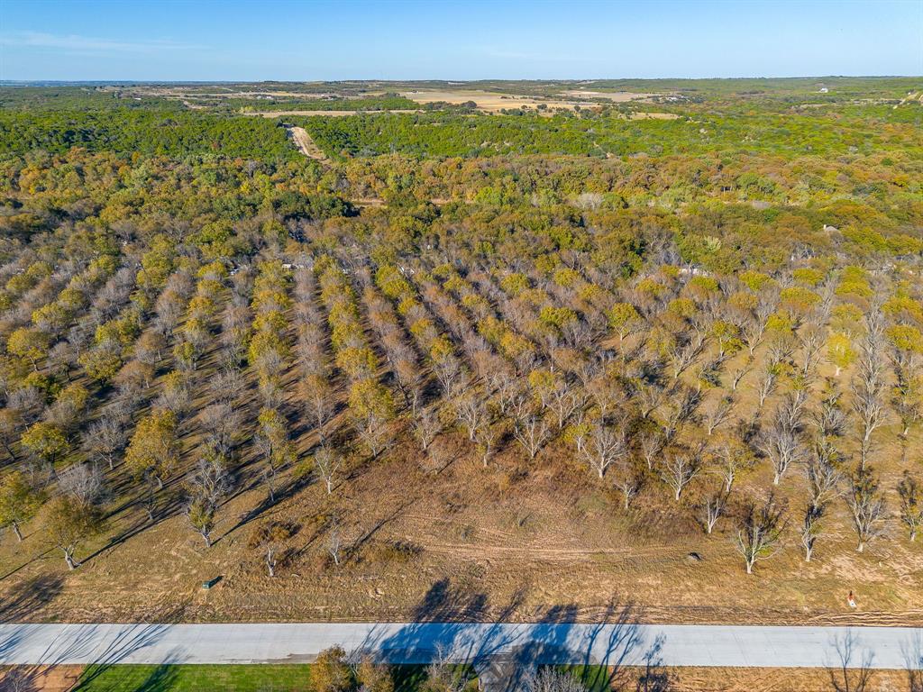 Pecan Plantation - Land