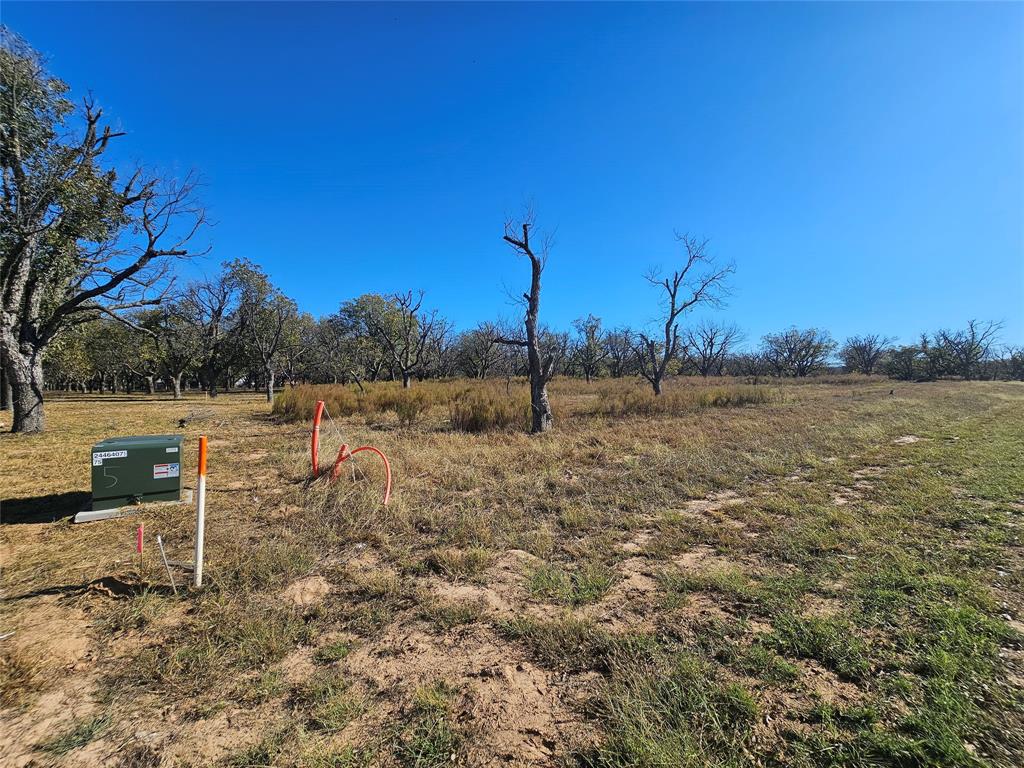 Pecan Plantation - Land