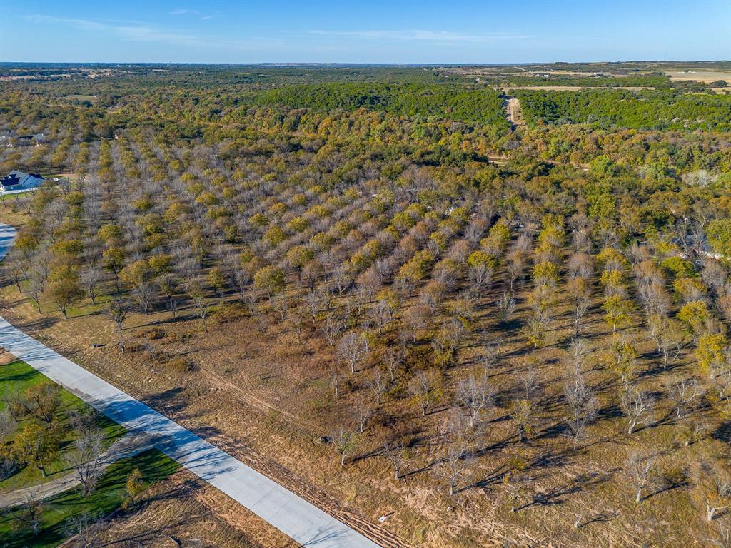 Pecan Plantation - Land