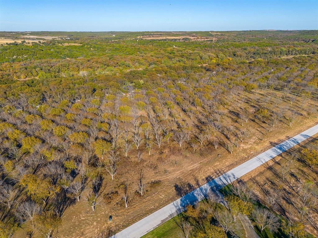 Pecan Plantation - Land