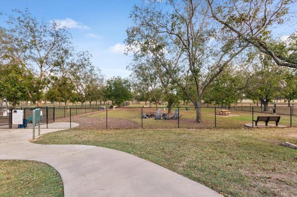 Pecan Plantation - Land