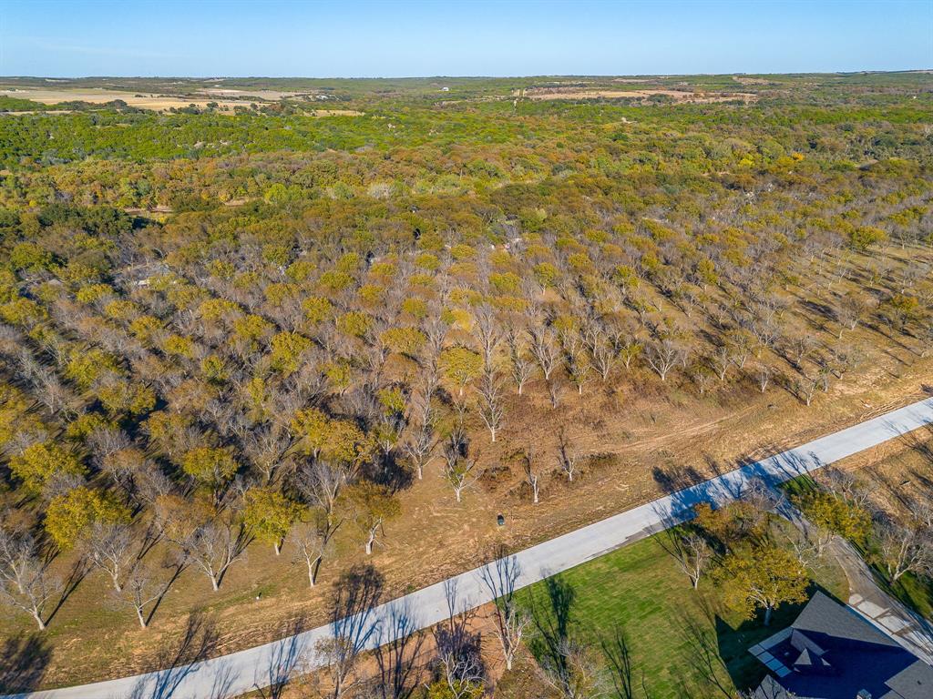 Pecan Plantation - Land