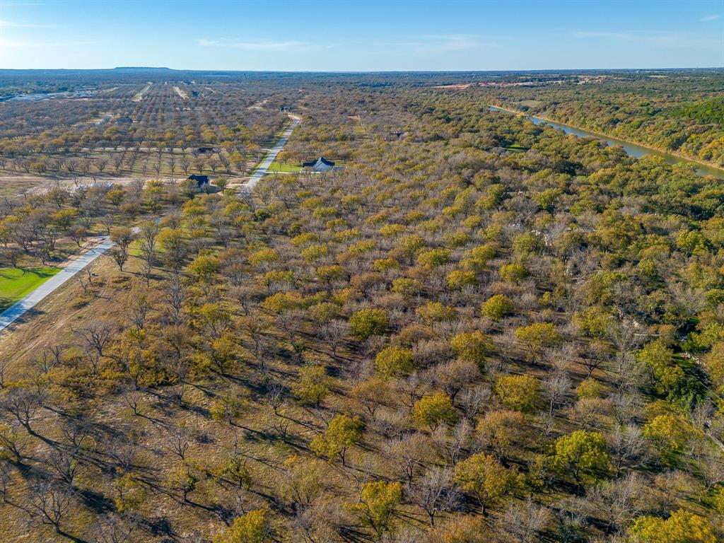 Pecan Plantation - Land