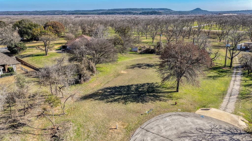 Pecan Plantation - Land