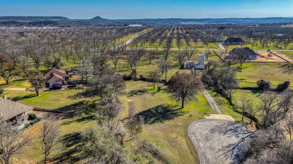 Pecan Plantation - Land