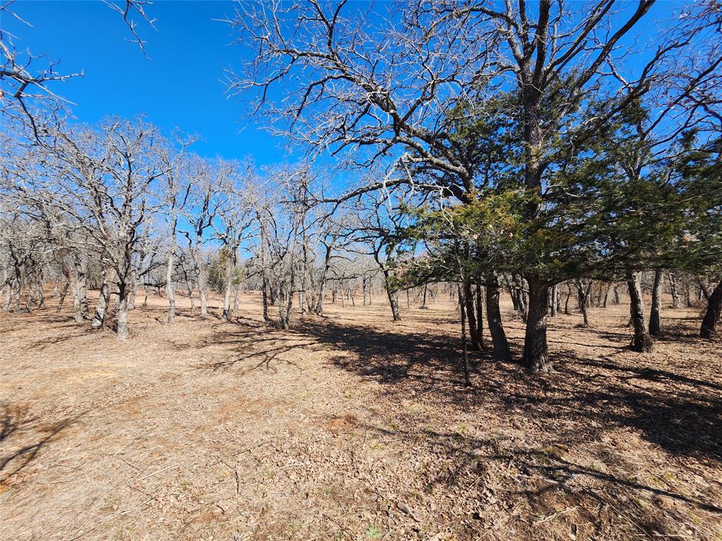 Nocona Hills - Land
