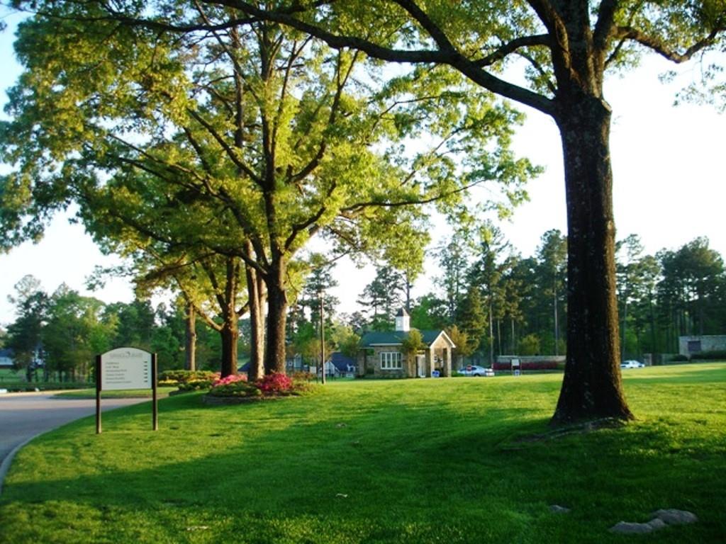 Eagles Bluff - Land