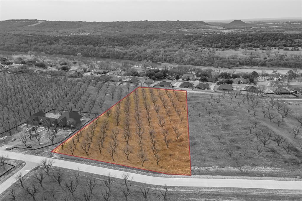 Pecan Plantation - Land
