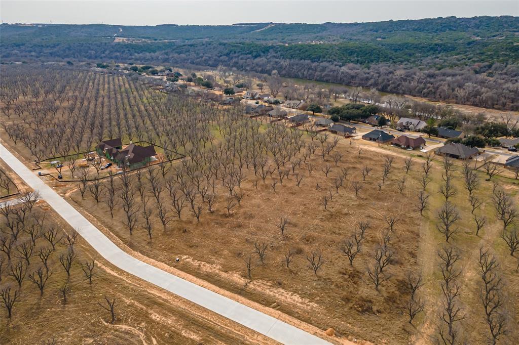 Pecan Plantation - Land