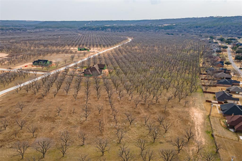 Pecan Plantation - Land