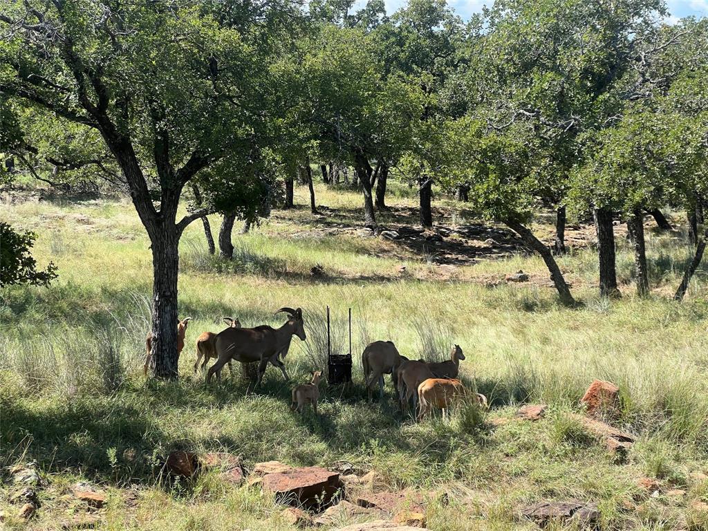 7-R Ranch - Land