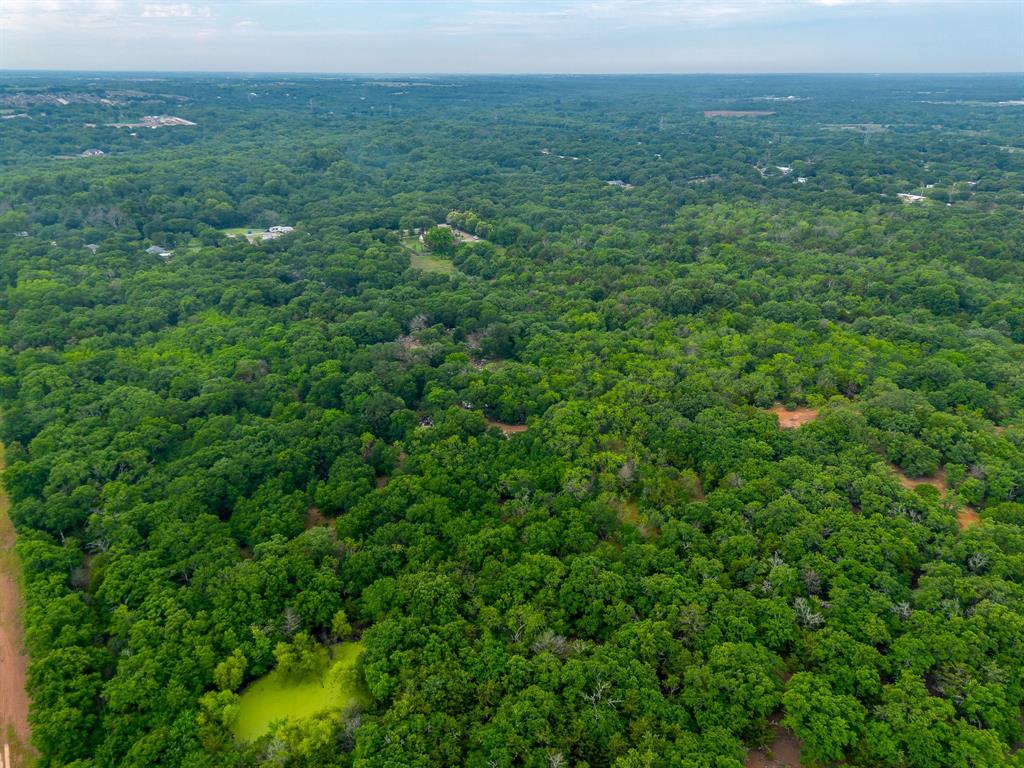 Rare Opportunity in Mansfield ISD! NO HOA and surrounded by acreage, this tree-filled property is the perfect place to build your dream home. Enjoy privacy, space, and the freedom to create the lifestyle you’ve been looking for — all with multiple Mansfield ISD schools to choose from.