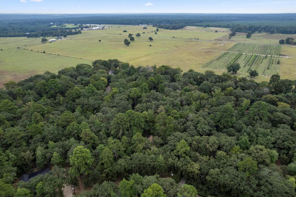 Holly Lake Ranch - Residential