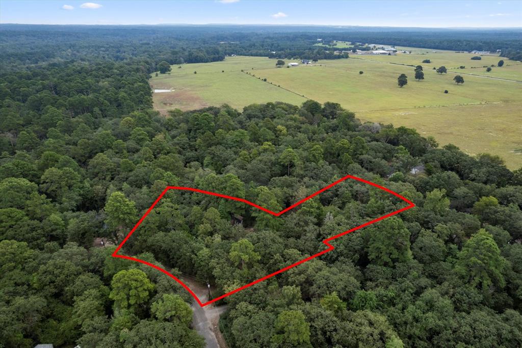Holly Lake Ranch - Residential