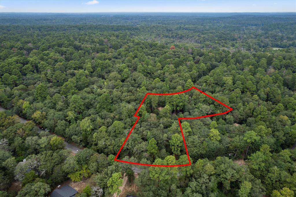 Holly Lake Ranch - Residential